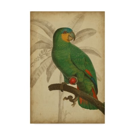 Vision Studio 'Parrot And Palm I' Canvas Art,30x47
